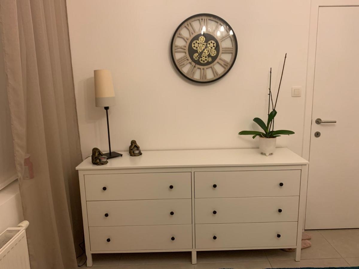 Vintage Dream Lägenhet Zwijndrecht Exteriör bild